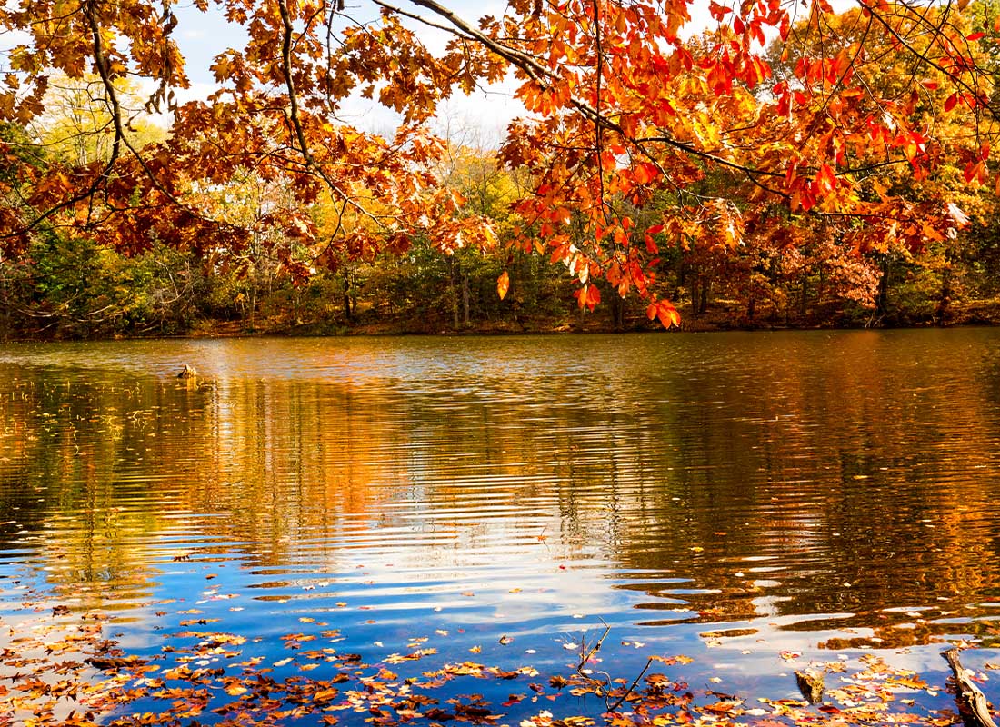 Bristol, CT - Fall Colors and Reflections in Birge Pond in Bristol, Connecticut